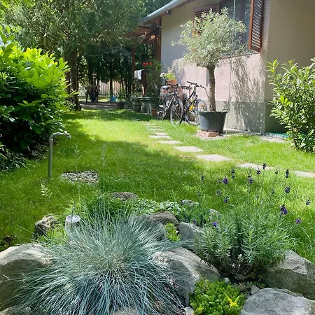 Insel Vendeghaz Surany Ferienhaus